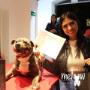Boutique-Spa-veterinaria para Mascotas🐾