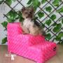 Boutique-Spa-veterinaria para Mascotas🐾