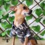Boutique-Spa-veterinaria para Mascotas🐾