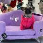 Boutique-Spa-veterinaria para Mascotas🐾