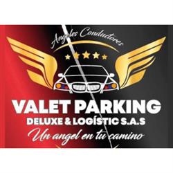 VALET PARKING DELUXE