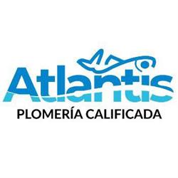 PLOMERIA ATLANTIS