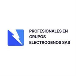 Profesionales en Grupos Electrógenos SAS