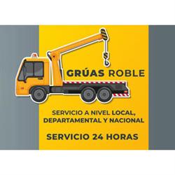 GRUAS ROBLE
