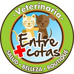 Entre +Cotas