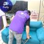 lavado de sofas
