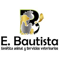 AGRO GOLD - Edward Bautista - Genética Animal & Servicios Veterinarios