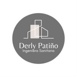 Ingeniera Derly Patiño