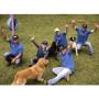 spa canino