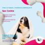 spa canino