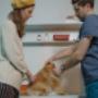 Franciscanes Pets