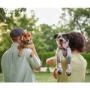 Venta de perros: Encuentra la raza perfecta para ti y tu familia. Contamos con una gran selección de razas, cada una criada con amor y cuidado para garantizar que obtengas un compañero saludable y feliz.

Servicio veterinario: Brindamos atención médica integral para tu mascota. Desde chequeos regulares hasta emergencias, nuestro equipo de veterinarios está siempre listo para cuidar de la salud de tu peludo.

Artículos para mascotas: Explora nuestra tienda con una gran variedad de productos de alta calidad para todas las necesidades de tu mascota. Desde alimentos nutritivos hasta juguetes divertidos y accesorios esenciales.

Especializados en razas: Nuestro conocimiento en distintas razas nos permite ofrecerte asesoramiento experto para que elijas la mascota que mejor se adapte a tu estilo de vida y necesidades.

Estética para mascotas: Dale a tu mascota el tratamiento de belleza que merece. Ofrecemos servicios de estética para que tu compañero luzca siempre limpio y arreglado.