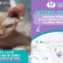 Clínicas Veterinarias