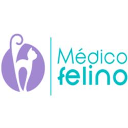Clínica Veterinaria Medico Felino