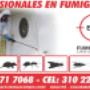 Manejo y Control de Plagas