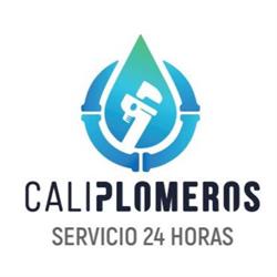 Caliplomeros