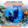 En nuestro servicio privado de buceo, te ofrecemos una oportunidad única para sumergirte en las maravillas del mundo submarino en la compañía exclusiva de un instructor experto. Contáctanos al 316 4934047.