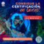 En nuestro servicio privado de buceo, te ofrecemos una oportunidad única para sumergirte en las maravillas del mundo submarino en la compañía exclusiva de un instructor experto. Contáctanos al 316 4934047.