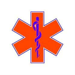 Ambulancias Salud Vital