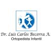 Luis Carlos Becerra Andrade