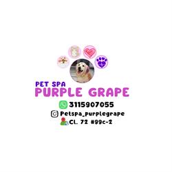Pet spa Purple Grape