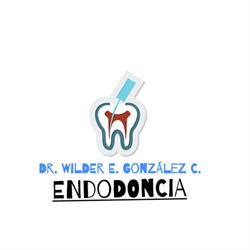 Endodoncia Dr. Wilder E. González C.