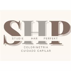 Balayage Studie Har Perfekt