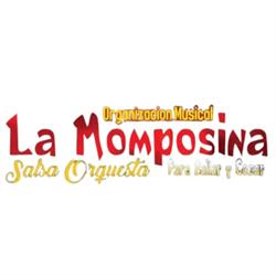Organización musical la momposina salsa orquesta