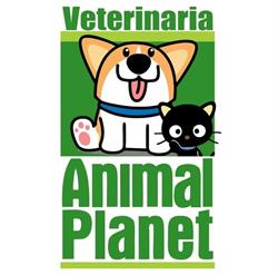 Clínica Veterinaria Animal Planet Castilla
