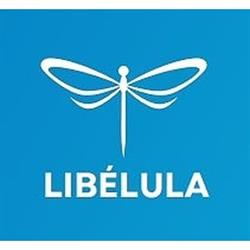 Libélula Transformación del Ser para el Hacer