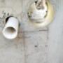 Perforaciones especializadas en estructuras de concreto