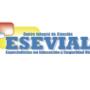 Logo essevial