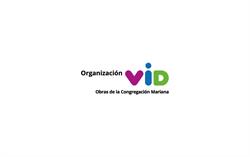 Organización VID