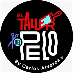El Taller del Pelo