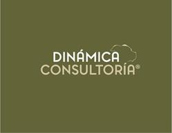 Dinámica Consultoría