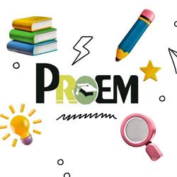 INSTITUTO PROEM