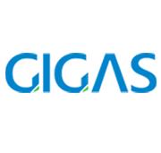 GIGAS Soluciones Informáticas SAS