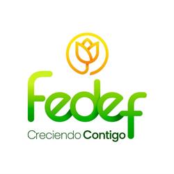 FEDEF FONDO DE EMPLEADOS