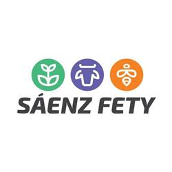 Sáenz Fety