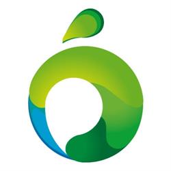 Polizás Asesores en Seguros Limitada