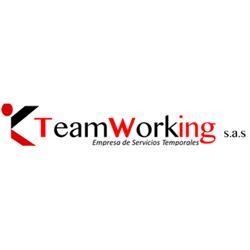 TEAMWORKING EST SAS