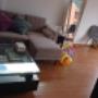Aseo hogar por 4 o 8 horas