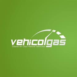 TU CARRO A GAS
