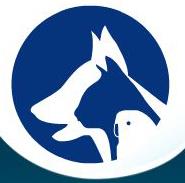 Clínica Veterinaria Animals care center
