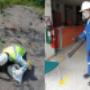 SOLUCIONES MUNDO VERDE SAS
Empresa de fumigación y control de plagas