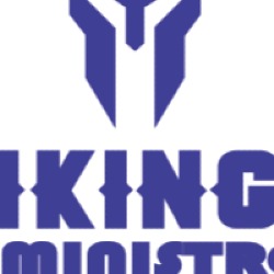 VIKINGO SUMINISTROS S.A.S