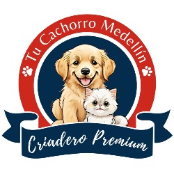 Tu cachorro Medellin