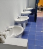 Remodelacion de unidades sanitarias
