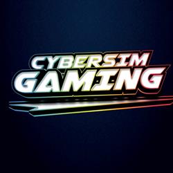 Cyber Sim Gaming