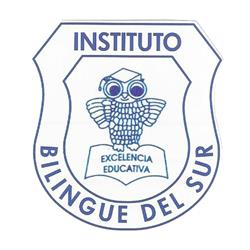 INSTITUTO BILINGUE DEL SUR
